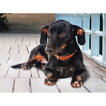 Load image into Gallery viewer, DIY 5D Diamond Painting Dog Diamond Embroidery Cute Dachshund Dogs Animal Mosaic Cross Stitch Full Round Rhinestone Decor Home - SallyHomey Life's Beautiful