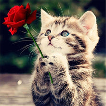 Load image into Gallery viewer, DIY 5D Diamond Painting Cat Mosaic Animal Cross Stitch Kit Full Round Drill Diamond Embroidery Rhinestone Art Wall Sticker Decor