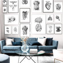 Load image into Gallery viewer, Black And White Brain Heart Skull kidney Anatomy Wall Art Canvas Painting Nordic Posters And Prints Wall Pictures Office Decor - SallyHomey Life's Beautiful