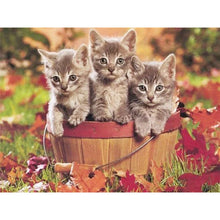 Load image into Gallery viewer, 5D Diamond Painting Cross Stitch Full Round Drill Lovely Cat Diamond Embroidery Mosaic DIY Cross Stitch Kits Wall Art