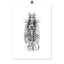 Load image into Gallery viewer, Skeleton Muscle Fingers Eye Black And White Anatomy Wall Art Canvas Painting Nordic Posters And Prints Wall Pictures Decor - SallyHomey Life's Beautiful