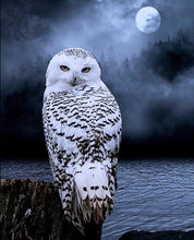 Load image into Gallery viewer, DIY Eagle 5D Diamond Painting Owl Diamond Embroidery Animal Cross Stitch Kits Full Round Drill Mosaic Art Wall Home Decor - SallyHomey Life's Beautiful