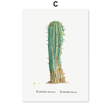 Load image into Gallery viewer, Cactus Sempervivum Flower Plant Wall Art Canvas Painting Nordic Posters And Prints Plants Wall Pictures For Living Room Decor - SallyHomey Life's Beautiful