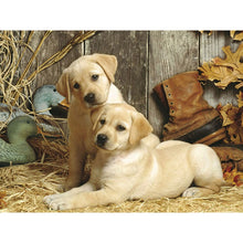 Load image into Gallery viewer, DIY 5D Diamond Painting Golden Retriever Dog Diamond Embroidery Cross Stitch Kits Animal Mosaic Full Round Rhinestone Home Decor - SallyHomey Life's Beautiful