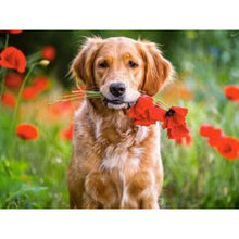 Load image into Gallery viewer, DIY 5D Diamond Painting Golden Retriever Dog Diamond Embroidery Cross Stitch Kits Animal Mosaic Full Round Rhinestone Home Decor - SallyHomey Life's Beautiful