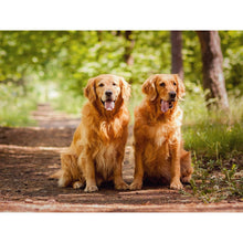 Load image into Gallery viewer, DIY 5D Diamond Painting Animal Diamond Embroidery Golden Retriever Dog Cross Stitch Full Round Drill Picture Mosaic Rhinestone - SallyHomey Life's Beautiful