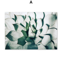 Load image into Gallery viewer, Cactus Lotus Leaf Tree ABstract Painting Wall Art Canvas Painting Nordic Posters And Prints Wall Pictures For Living Room Decor - SallyHomey Life's Beautiful