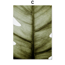 Load image into Gallery viewer, Fresh Nature Monstera Banana Leaf Wall Art Canvas Painting Nordic Posters And Prints Plant Wall Pictures For Living Room Decor - SallyHomey Life's Beautiful