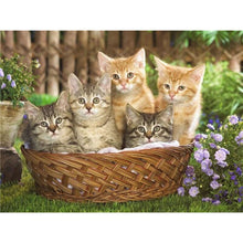 Load image into Gallery viewer, 5D Diamond Painting Cross Stitch Full Round Drill Lovely Cat Diamond Embroidery Mosaic DIY Cross Stitch Kits Wall Art