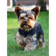 Load image into Gallery viewer, DIY 5D Diamond Painting Dog Diamond Embroidery Sale Mosaic Picture Of Rhinestones full round drill Animal wall Sticker Decor - SallyHomey Life's Beautiful