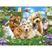 Load image into Gallery viewer, DIY 5D Diamond Painting Farm Animal Cat Diamond Embroidery Mosaic Rhinestone Full Round Drill Cross Stitch Kits Decor Home