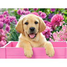 Load image into Gallery viewer, DIY 5D Diamond Painting Dog Diamond Embroidery Animal Cross Stitch Full Round Drill Rhinestone Picture Mosaic Manual Hobby Gift