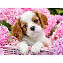 Load image into Gallery viewer, Diy Dog 5D Diamond Painting Cross Stitch Full Round Drill Diamond Embroidery Mosaic Rhinestone Handmade Gift Home Decor