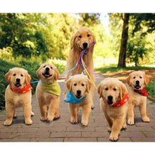 Load image into Gallery viewer, Diy Dog 5D Diamond Painting Cross Stitch Full Round Drill Diamond Embroidery Mosaic Rhinestone Handmade Gift Home Decor