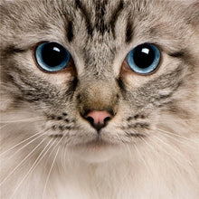 Load image into Gallery viewer, DIY 5D Diamond Painting Cat Face Animal Mosaic Diamond Embroidery Cross Stitch Full Round Rhinestone Art Wall Sticker Home Decor - SallyHomey Life's Beautiful