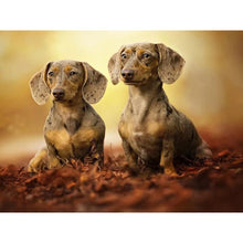Load image into Gallery viewer, DIY 5D Diamond Painting Dog Cute Pet Chihuahua Cross Stitch Diamond Embroidery Full Round Rhinestone Kits Animal Mosaic Decor - SallyHomey Life's Beautiful