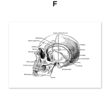 Load image into Gallery viewer, Black And White Brain Heart Skull kidney Anatomy Wall Art Canvas Painting Nordic Posters And Prints Wall Pictures Office Decor - SallyHomey Life's Beautiful
