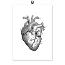 Load image into Gallery viewer, Black And White Brain Heart Skull kidney Anatomy Wall Art Canvas Painting Nordic Posters And Prints Wall Pictures Office Decor - SallyHomey Life's Beautiful