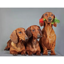Load image into Gallery viewer, DIY 5D Diamond Painting Dog Animal Diamond Embroidery Cross Stitch Kit Dachshund Mosaic Full Round Drill Rhinestone Home Decor - SallyHomey Life's Beautiful