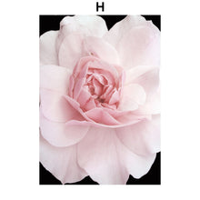 Load image into Gallery viewer, Pink Petal Dahlia Daisy Rose Nature Plant Nordic Posters And Prints Wall Art Canvas Painting Pictures For Home Design Bedroom - SallyHomey Life's Beautiful