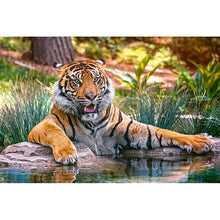 Load image into Gallery viewer, 5D Diamond Painting Tiger Full Round Drill Mosaic Diamond Embroidery Cross Stitch Animal rhinestones DIY Wall Sticker Decor Gift