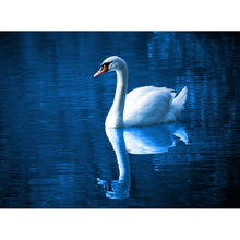 Load image into Gallery viewer, DIY 5D Diamond Painting Swan Landscape Full Round Diamond Embroidery Animal Mosaic Rhinestones Cross Stitch Picture Home Decor - SallyHomey Life's Beautiful