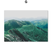 Load image into Gallery viewer, Fresh Cactus Mountain Leaf Terraced Field Wall Art Canvas Painting Nordic Posters And Prints Wall Pictures For Living Room Decor - SallyHomey Life's Beautiful