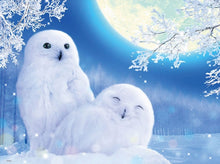 Load image into Gallery viewer, DIY 5D Diamond Painting Snowy Owl Cross Stitch Animal Diamond Embroidery Full Round Drill Art Wall Home Decor Gift - SallyHomey Life's Beautiful