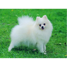Load image into Gallery viewer, DIY 5D Diamond Painting Dog Diamond Embroidery Animal Cross Stitch Full Round Drill Rhinestone Picture Mosaic Manual Hobby Gift