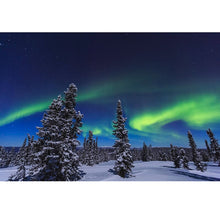Load image into Gallery viewer, DIY 5D Diamond Painting Snow Scenery Diamond Embroidery Winter Landscape Rhinestones Cross Stitch Full Round Mosaic Home Decor