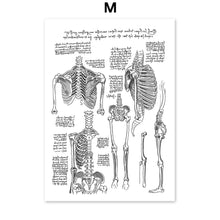 Load image into Gallery viewer, Skeleton Muscle Fingers Eye Black And White Anatomy Wall Art Canvas Painting Nordic Posters And Prints Wall Pictures Decor - SallyHomey Life's Beautiful