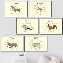 Load image into Gallery viewer, Flamingo Fox Sloth Sheep Animal Anatomy Wall Art Canvas Painting Nordic Posters And Prints Wall Pictures For Living Room Decor - SallyHomey Life's Beautiful