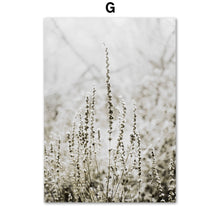 Load image into Gallery viewer, Reeds Wheat House Leaf Nordic Posters And Prints Wall Art Canvas Painting Wall Pictures For Living Room Scandinavian Home Decor - SallyHomey Life's Beautiful
