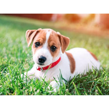 Load image into Gallery viewer, 5D Diamond Painting Dog Cute Pet Cross Stitch Animal Diamond Embroidery Mosaic Full Round Drill Rhinestone Decor Home - SallyHomey Life's Beautiful