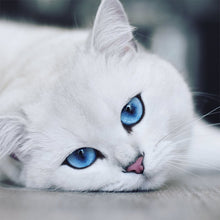 Load image into Gallery viewer, DIY 5D Diamond Painting Cat Face Animal Mosaic Diamond Embroidery Cross Stitch Full Round Rhinestone Art Wall Sticker Home Decor - SallyHomey Life's Beautiful