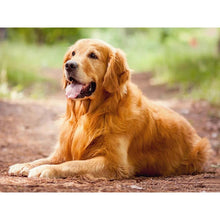 Load image into Gallery viewer, DIY 5D Diamond Painting Dog Diamond Embroidery Golden Retriever Dogs Animal Mosaic Cross Stitch Full Round Rhinestone Child Gift - SallyHomey Life's Beautiful