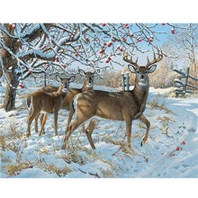 Load image into Gallery viewer, DIY 5D Diamond Painting Deer In Nature Forest Full Round Mosaic Animal Diamond Embroidery Cross Stitch Mosaic Rhinestones Decor - SallyHomey Life's Beautiful
