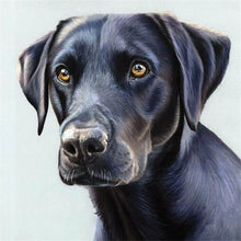 Load image into Gallery viewer, DIY 5D Diamond Painting Dog Labrador Animal Diamond Embroidery Cross Stitch Kit Full Round Mosaic Pictures Rhinestone Home Decor