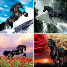 Load image into Gallery viewer, DIY 5D Diamond Painting Horse In Run Full Drill Round Diamond Embroidery Cross Stitch Rhinestone Animal Mosaic Wall Decor Home - SallyHomey Life's Beautiful