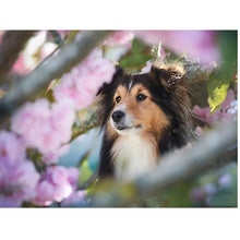 Load image into Gallery viewer, DIY 5D Diamond Painting Dog Cross Stitch Diamond Embroidery Sale Animal Mosaic Rhinestones Pictures Full Round Drill Home Decor