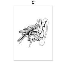 Load image into Gallery viewer, Skeleton Muscle Fingers Eye Black And White Anatomy Wall Art Canvas Painting Nordic Posters And Prints Wall Pictures Decor - SallyHomey Life's Beautiful