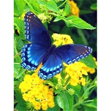 Load image into Gallery viewer, DIY 5D Diamond Painting Flower Butterfly Diamond Embroidery Animal Cross Stitch Full Round Drill Rhinestone Decor Home Art Wall