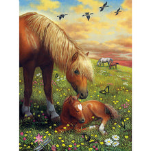 Load image into Gallery viewer, 5D Diamond Painting Horse Mosaic Full Round Drill Rhinestones Daimond Embroidery Cross Stitch Rhinestone Animal Wall Decor - SallyHomey Life's Beautiful