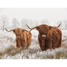 Load image into Gallery viewer, 5D DIY Diamond Painting Highland Cow Full Round Drill Rhinestone Diamond Embroidery Animal Mosaic Cross Stitch Kits Decor Home - SallyHomey Life's Beautiful
