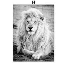 Load image into Gallery viewer, Lion Elephant Leopard Tropical Plant Wall Art Canvas Painting Nordic Posters And Prints Wall Pictures For Living Room Home Decor - SallyHomey Life's Beautiful