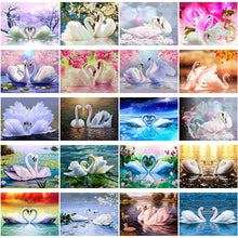 Load image into Gallery viewer, DIY 5D Diamond Painting Swan Animal Full Round Mosaic Cross Stitch Kit Diamond Embroidery Picture Rhinestone Wall Home Decor