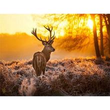 Load image into Gallery viewer, DIY 5D Diamond Painting Deer In Nature Forest Full Round Mosaic Animal Diamond Embroidery Cross Stitch Mosaic Rhinestones Decor - SallyHomey Life's Beautiful