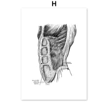 Load image into Gallery viewer, Black And White Brain Heart Skull kidney Anatomy Wall Art Canvas Painting Nordic Posters And Prints Wall Pictures Office Decor - SallyHomey Life's Beautiful