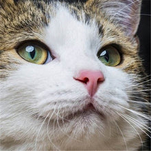 Load image into Gallery viewer, DIY 5D Diamond Painting Cat Eye Cross Stitch Diamond Embroidery Sale Animal Mosaic Rhinestones Full Drill Drill Handmade Decor - SallyHomey Life's Beautiful