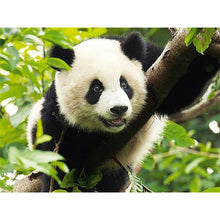 Load image into Gallery viewer, DIY 5D Diamond Painting Panda Animal Mosaic Full Round Diamond Embroidery Cross Stitch Landscape Flower Rhinestones Home Decor